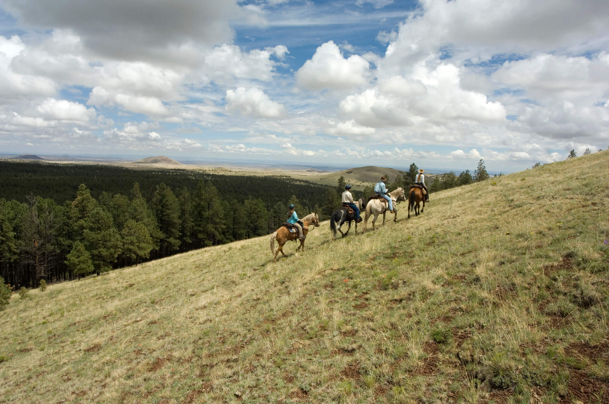 Horseback